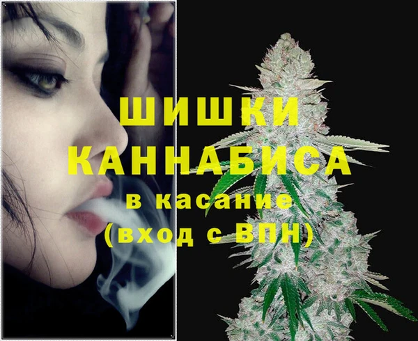 PSILOCYBIN Армянск