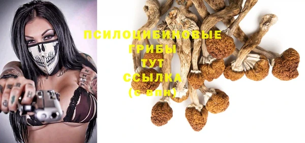 PSILOCYBIN Армянск