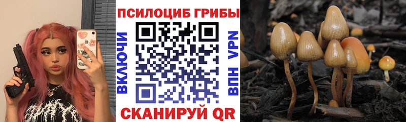 ОМГ ОМГ ССЫЛКА  Павлово  Псилоцибиновые грибы Magic Shrooms 